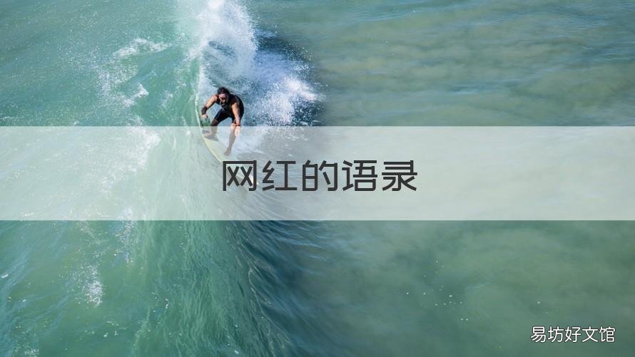 网红的语录 网红语录2022