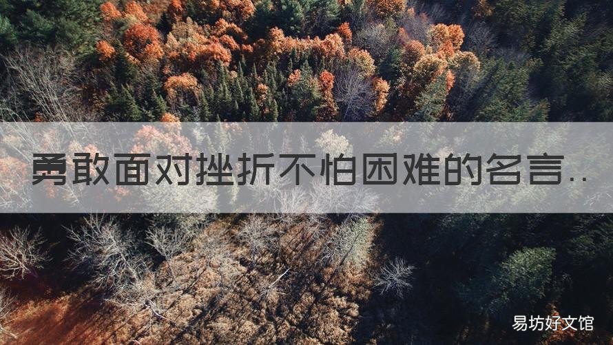 勇敢面对挫折不怕困难的名言 不怕困难和挫折的名言