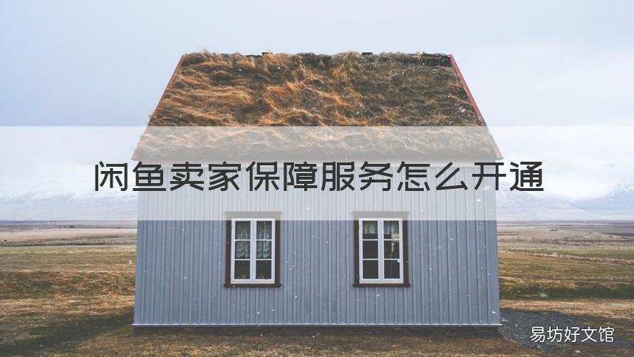 闲鱼卖家保障服务怎么开通 闲鱼上买家保障服务怎么开通