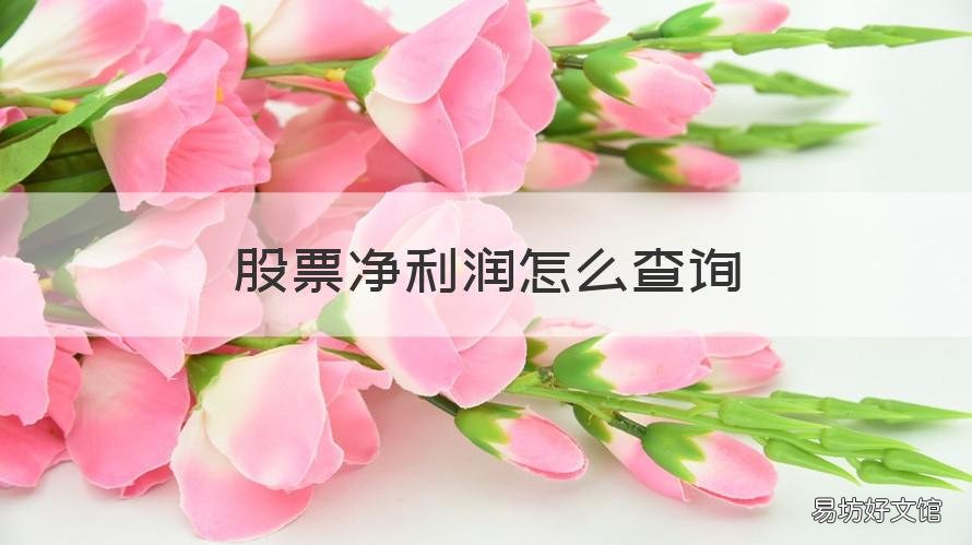 股票净利润怎么查询 股票净利润怎么看