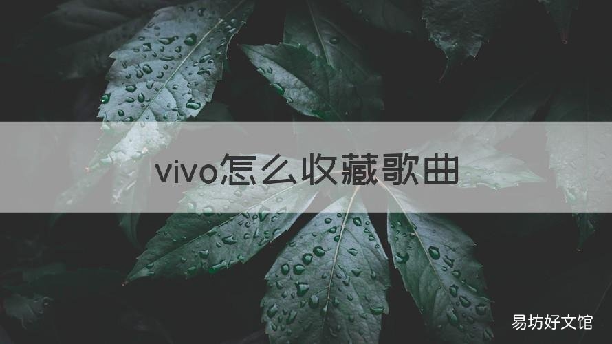 vivo怎么收藏歌曲 vivo怎么收藏视频