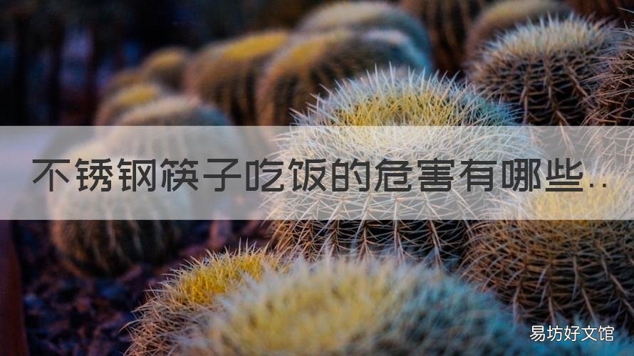 不锈钢筷子吃饭的危害有哪些 吃不锈钢的碗筷有害吗