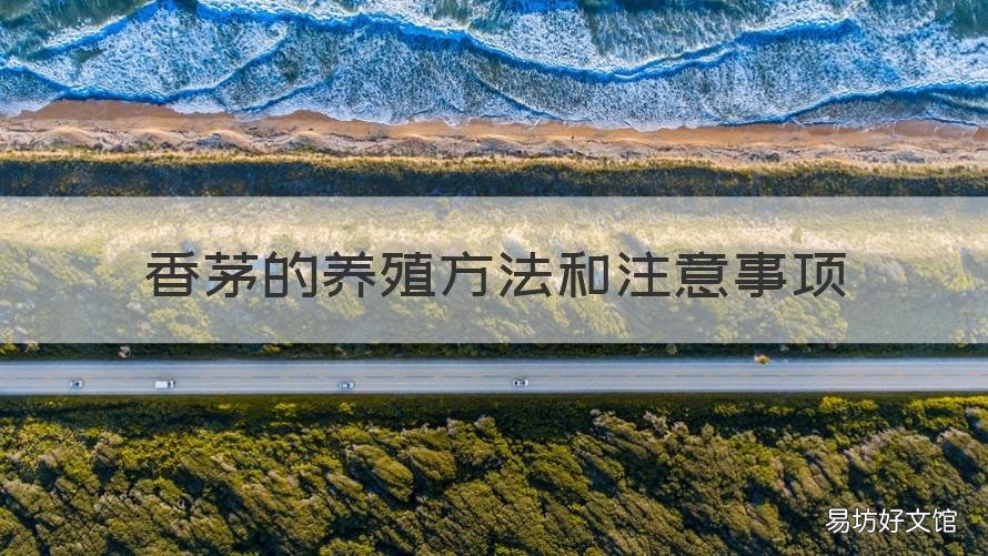 香茅的养殖方法和注意事项 香茅草的养殖方法和注意事项