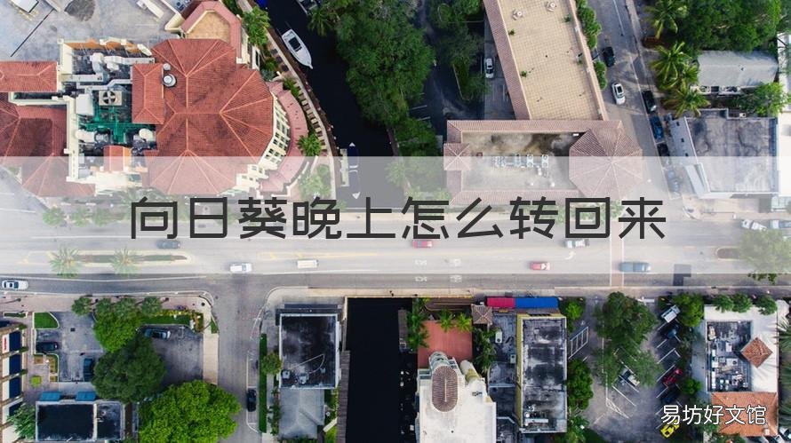 向日葵晚上怎么转回来 向日葵晚上怎么转回来英文文献
