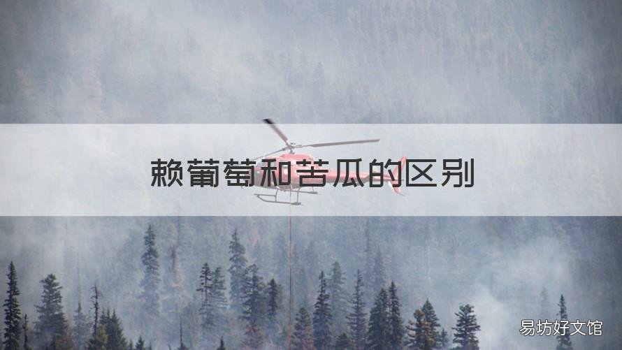 赖葡萄和苦瓜的区别 赖赖瓜和苦瓜的区别