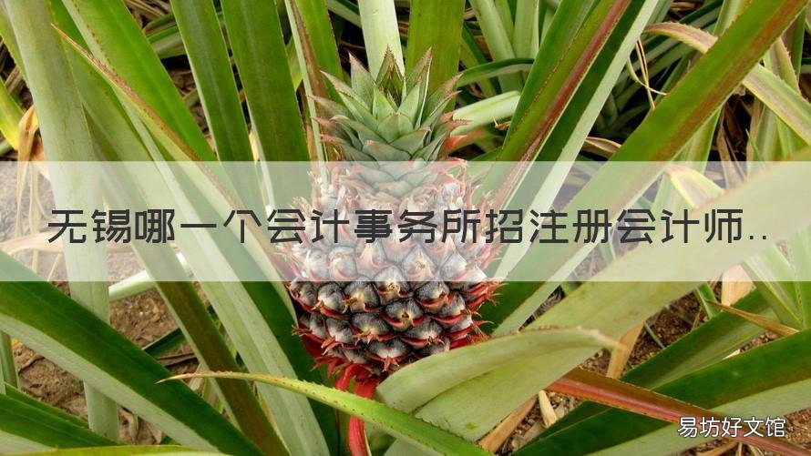 无锡哪一个会计事务所招注册会计师 无锡注册会计师招聘信息