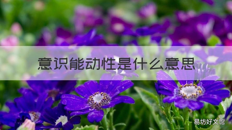 意识能动性是什么意思 意识能动性的含义是指什么