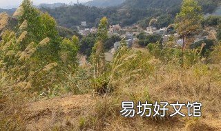 阴宅选址注意什么 选阴宅注意事项