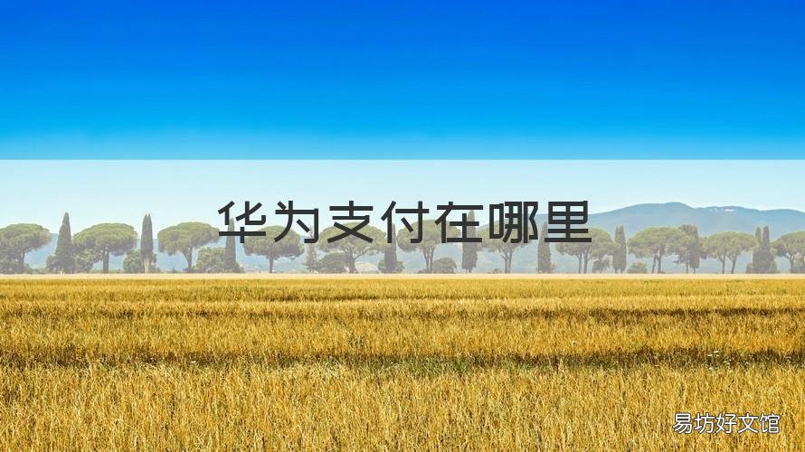 华为支付在哪里 华为手机支付宝在哪里