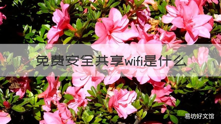 免费安全共享wifi是什么 安全免费网络wifi