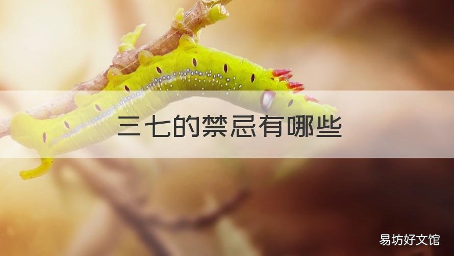 三七的禁忌有哪些 三七的禁忌有哪些呢