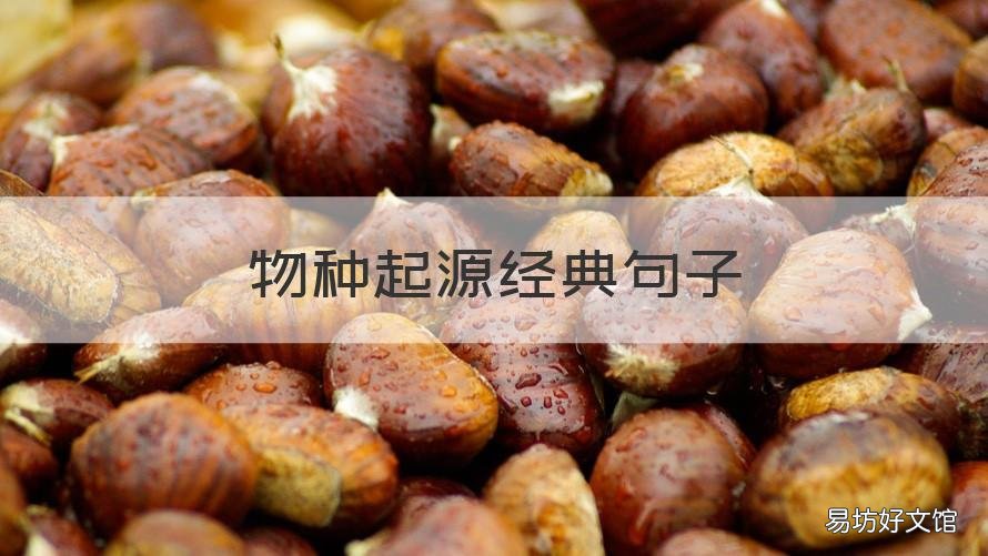 物种起源经典句子 物种起源第一句