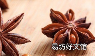 八角木怎么养 八角木怎么栽培技术