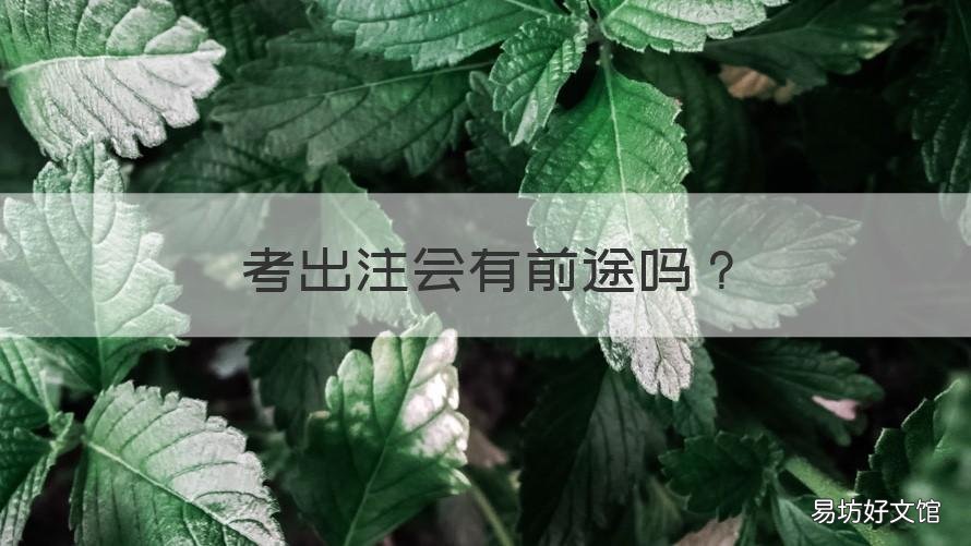 考出注会有前途吗 考注会好吗