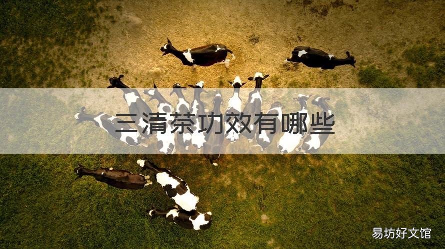 三清茶功效有哪些 三清茶的功效