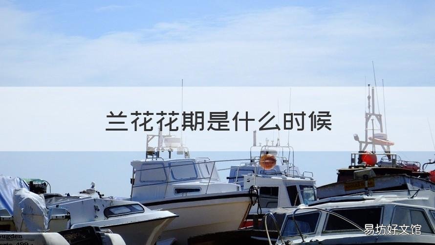 蘭花花期是什么時候 蘭花花期是什么時候開始的
