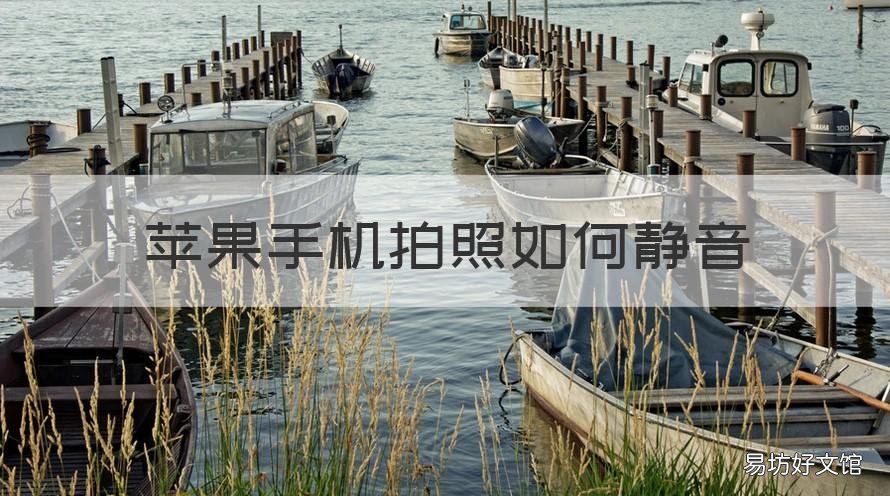 苹果手机拍照如何静音 苹果手机拍照静音怎么调