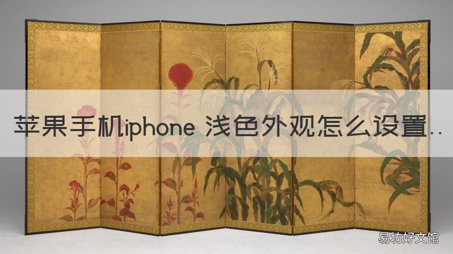 苹果手机iphone 浅色外观怎么设置 苹果手机怎样设置浅色外观