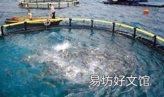 戊二醛在水产养殖中的作用 戊二醛水产应用