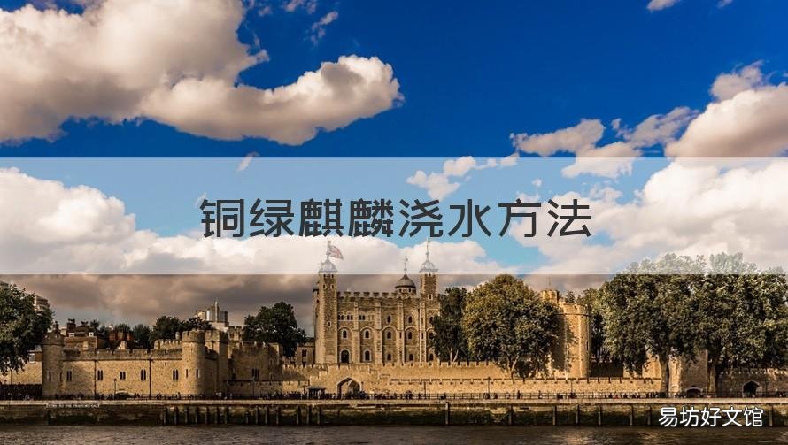 铜绿麒麟浇水方法 麒麟浇水的正确方法