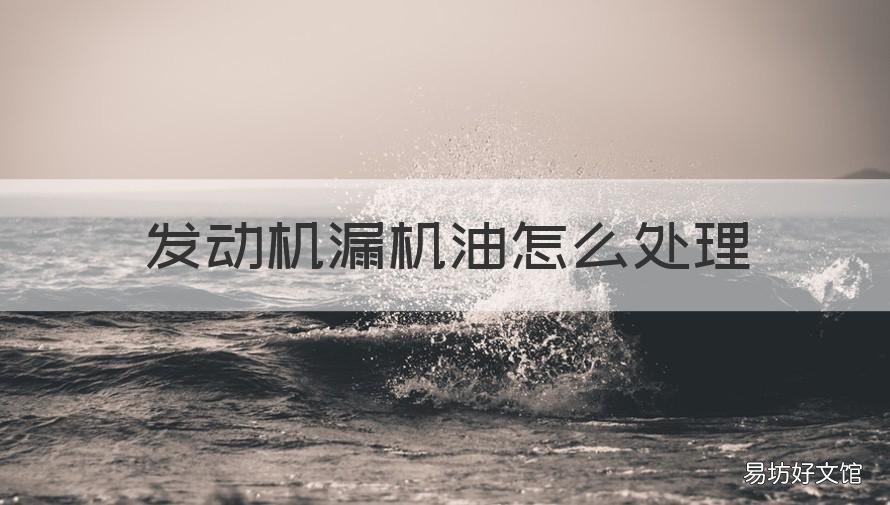 发动机漏机油怎么处理 发动机漏机油怎么处理福特