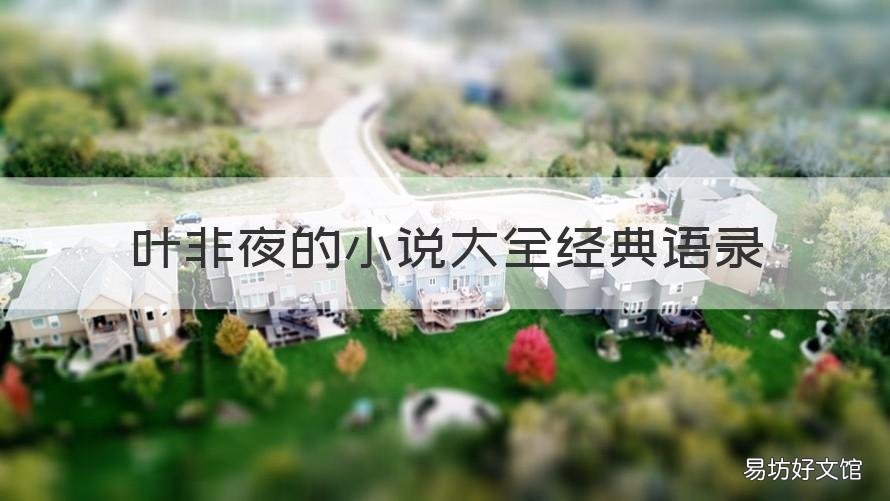 叶非夜的小说大全经典语录 叶非夜小说句子