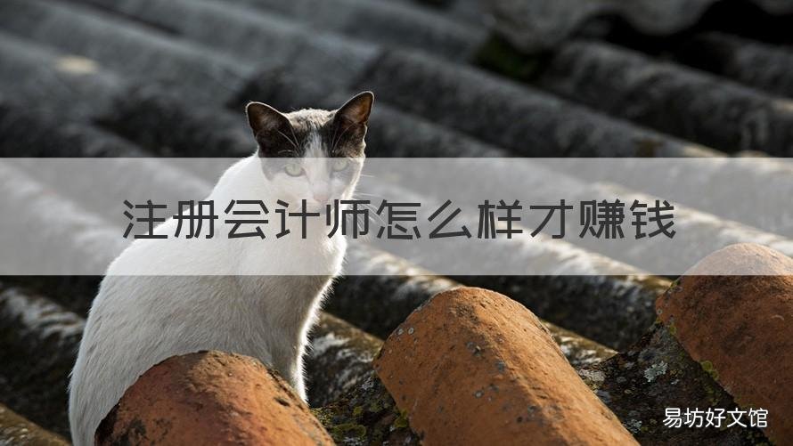 注册会计师怎么样才赚钱 注册会计师如何挣钱