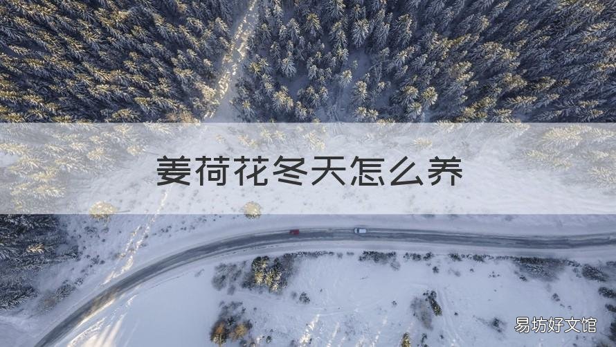 姜荷花冬天怎么养 姜荷花好养么