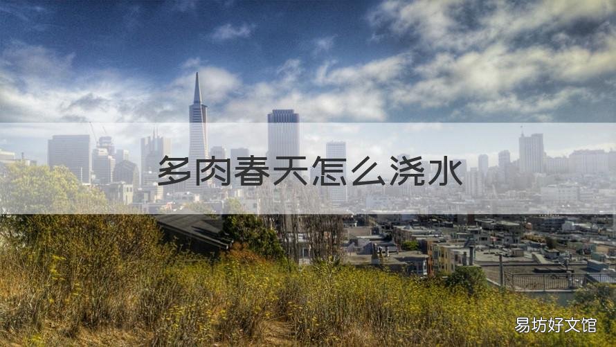 多肉春天怎么浇水 多肉春天如何浇水