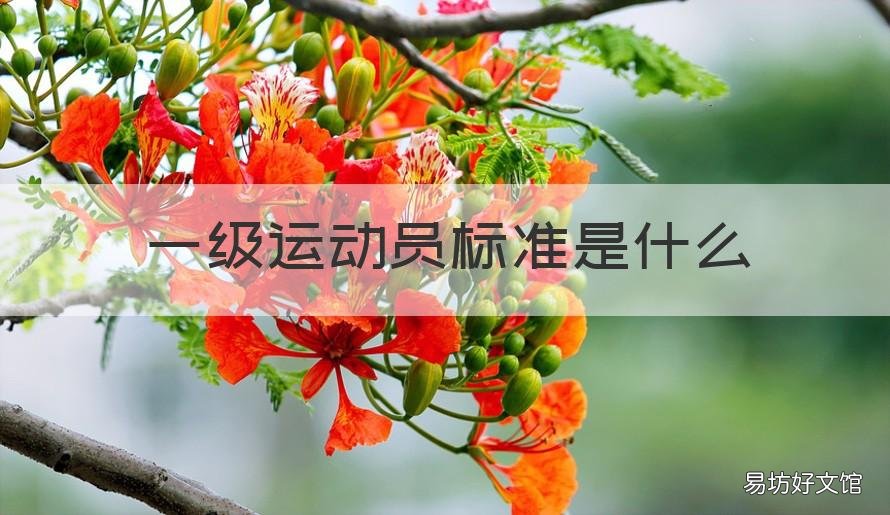 一级运动员标准是什么 一级运动员的要求
