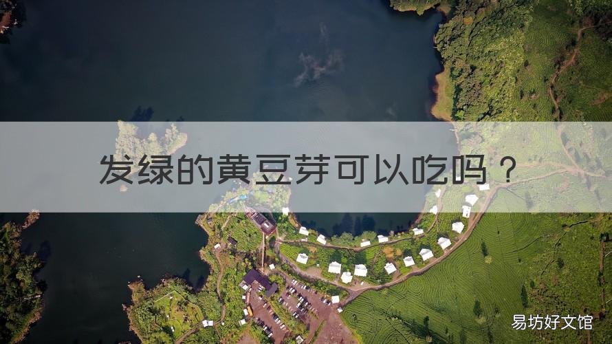 发绿的黄豆芽可以吃吗 黄豆芽发绿还可以吃吗