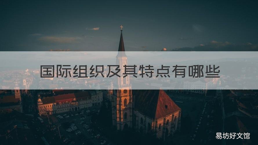 国际组织及其特点有哪些 国际组织及其特点有哪些内容
