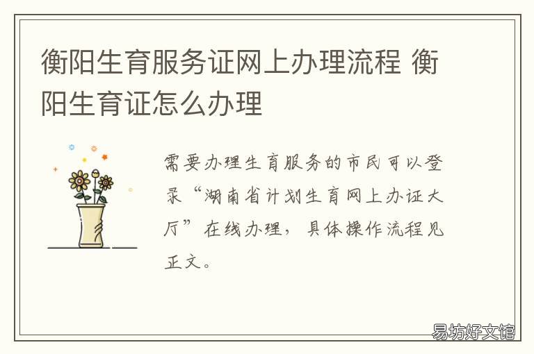 衡阳生育服务证网上办理流程 衡水生育服务登记系统