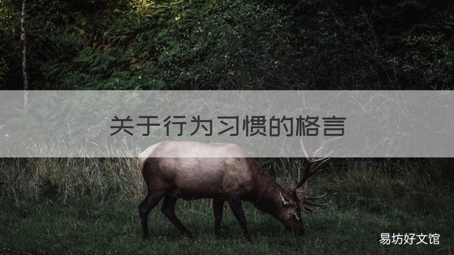 关于行为习惯的格言