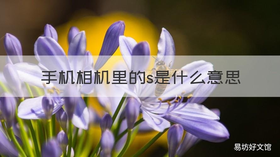手机相机里的s是什么意思 手机相机中s是什么意思呀