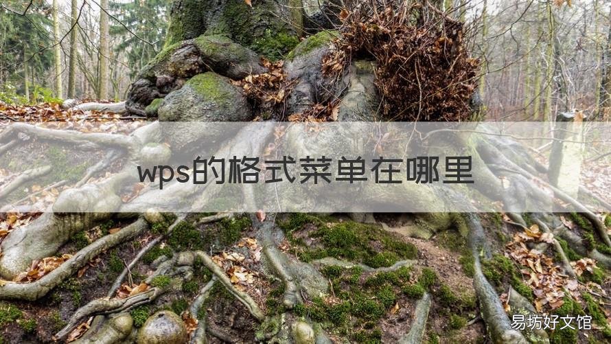 wps的格式菜单在哪里 wps文件菜单在哪里