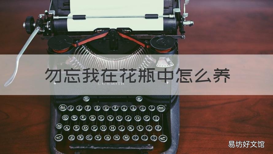 勿忘我在花瓶中怎么养 勿忘我花怎么保养