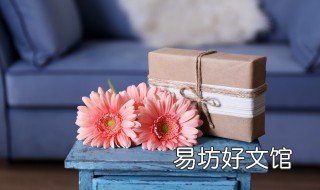 金丁是什么意思 金丁是什么意思网络用语