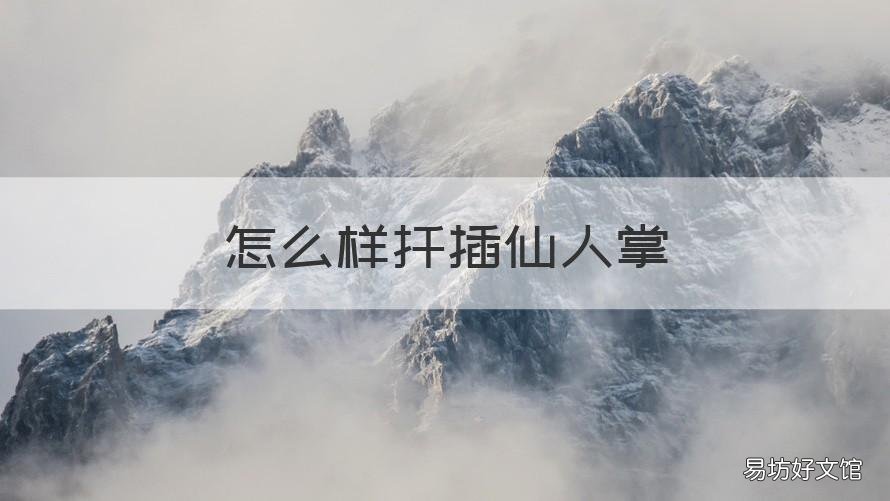怎么样扦插仙人掌 扦插仙人掌用什么土壤