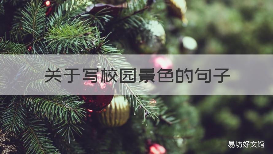 关于写校园景色的句子 关于描写校园景色的句子
