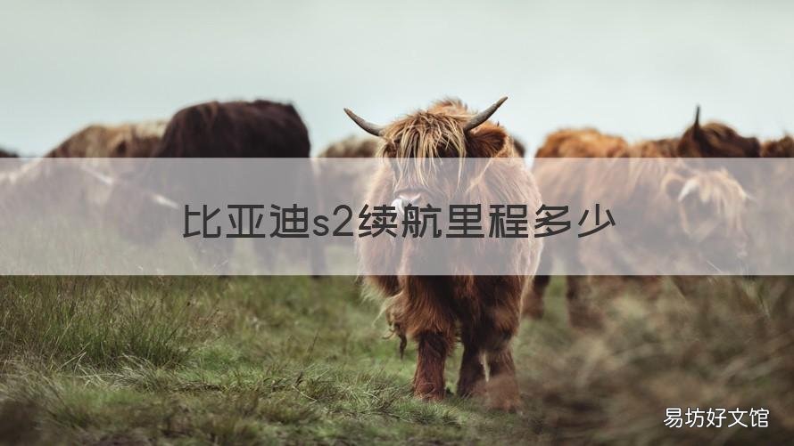 比亚迪s2续航里程多少 比亚迪s2电池容量