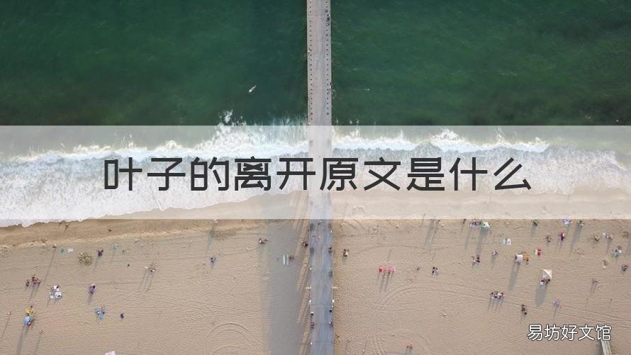 叶子的离开原文是什么 叶子的离开不是