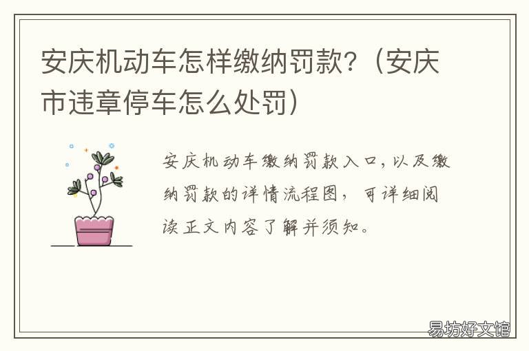 安庆机动车怎样缴纳罚款? 安庆举报违章车辆有没有奖励哦