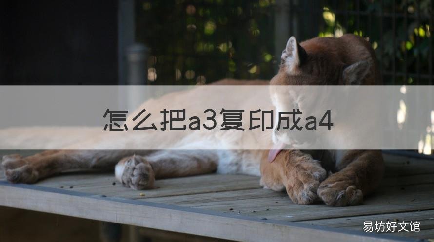 怎么把a3复印成a4 怎样将a3复印成a4
