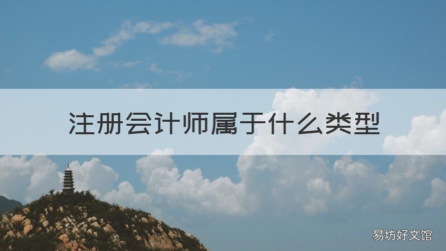 注册会计师属于什么类型 注册会计师有哪几种