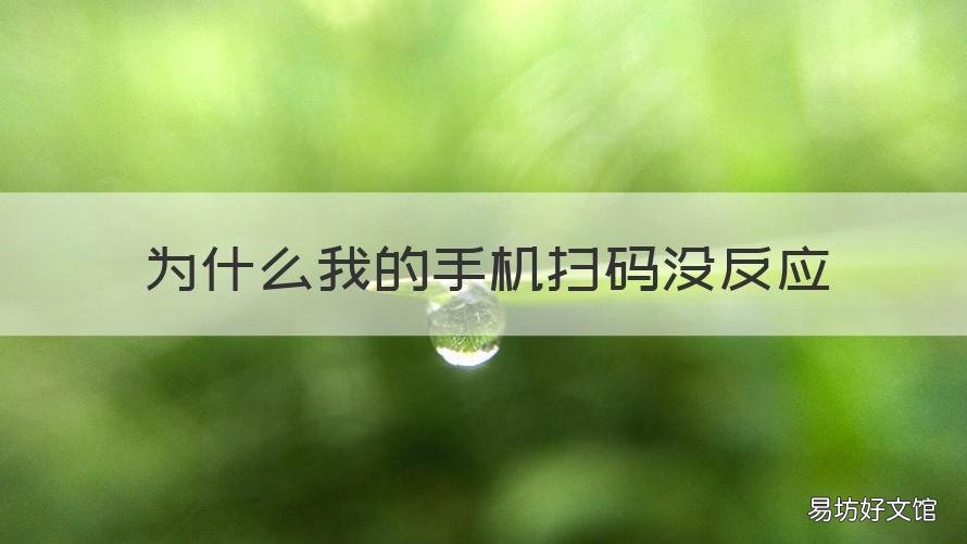 为什么我的手机扫码没反应 手机扫码没反应怎么回事