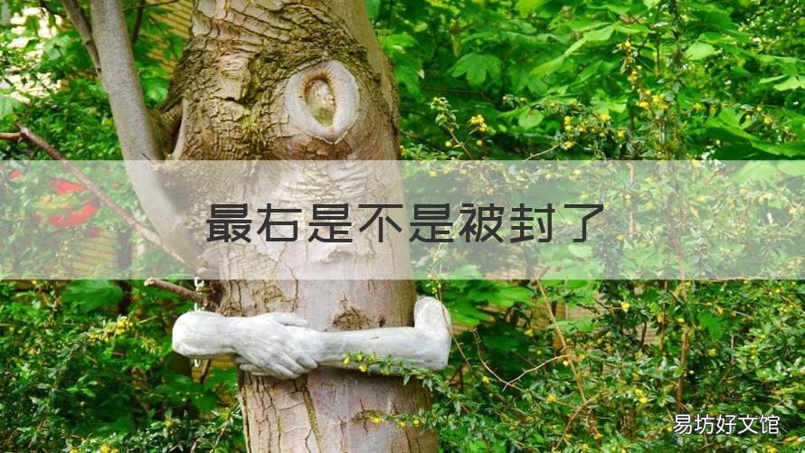 最右是不是被封了 最右账号当前不处于封禁状态