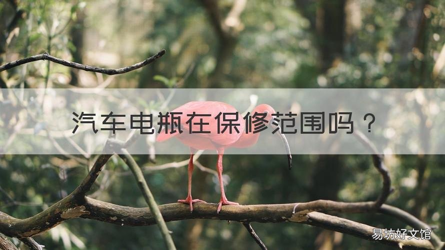 汽车电瓶在保修范围吗 车子电瓶属于保修范围吗