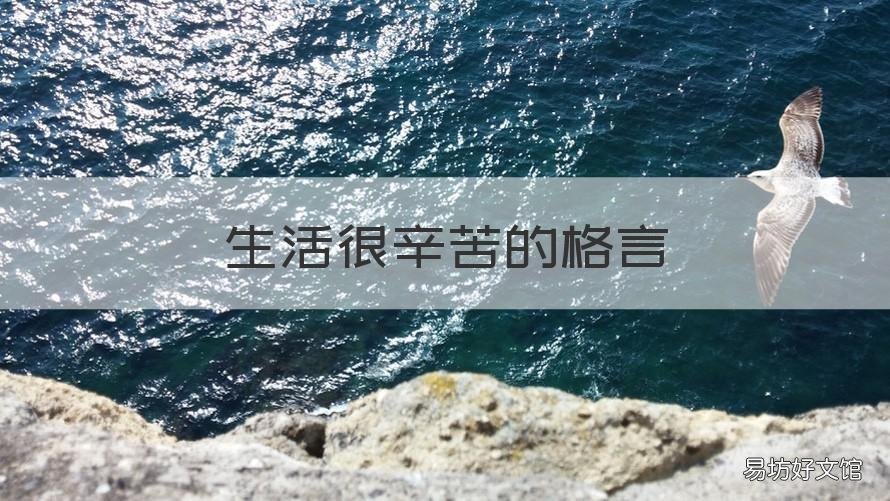 生活很辛苦的格言 生活很辛苦的格言短句