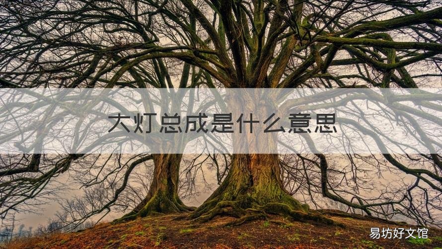 大灯总成是什么意思 大灯总成是什么意思图片